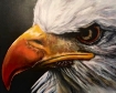 Picture of ARA Artists Acrylics | Ακρυλικό Χρώμα Υψηλής Χρωστικής για Μεικτές Τεχνικές – Ivory Black Extra