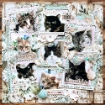 Picture of Mintay Papers Scrapbooking Bundle - In My Craftroom
