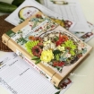 Picture of Mintay Papers Διακοσμητικά Die-Cuts - Country Fair, 46+τεμ.
