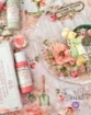 Picture of Prima Marketing Χάρτινα Λουλούδια – Homegrown Collection, Apple Blossom Garden, 9τεμ.