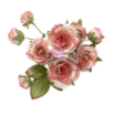 Picture of Prima Marketing Χάρτινα Λουλούδια – Homegrown Collection, Garden Rose Blush, 10τεμ.
