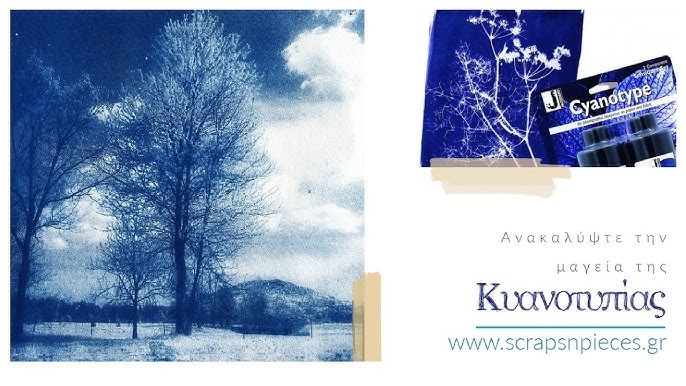 Get started - Cyanotype